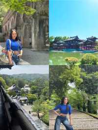 ✨Kyoto Itinerary (4D3N)🇯🇵