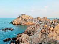 울산 하루 코스: 오전엔 숲, 오후엔 바다, 밤엔 관람차