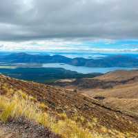 New Zealand and the Tongarira National Park hike!
