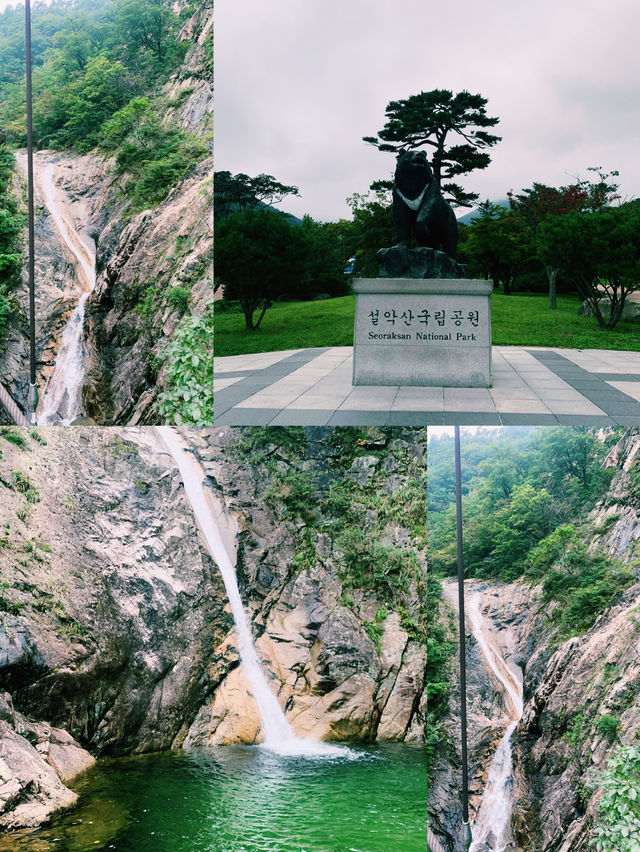 뜨겁고 생기 넘쳤던 부산, 조용히 마음 쉬었던 속초