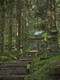 【行く前にこれ見て】神秘的な風景と絶景に心惹かれる⛩️⛰️※周辺観光情報付
