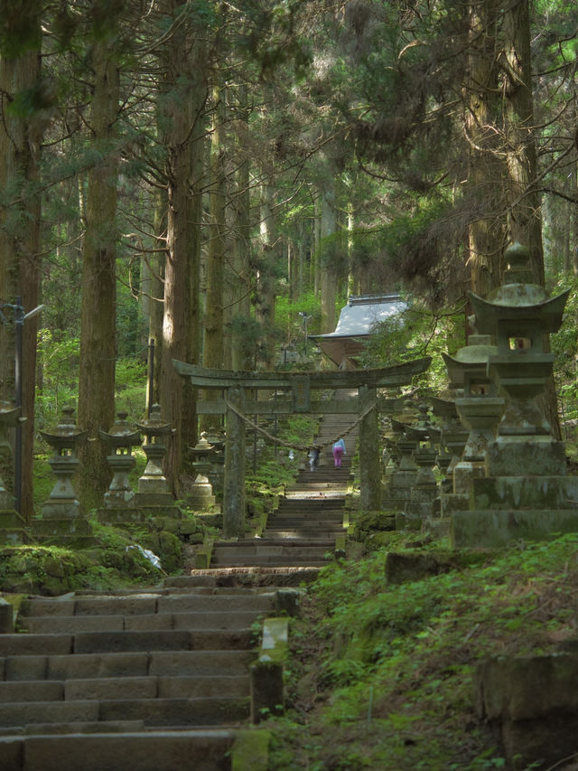 【行く前にこれ見て】神秘的な風景と絶景に心惹かれる⛩️⛰️※周辺観光情報付