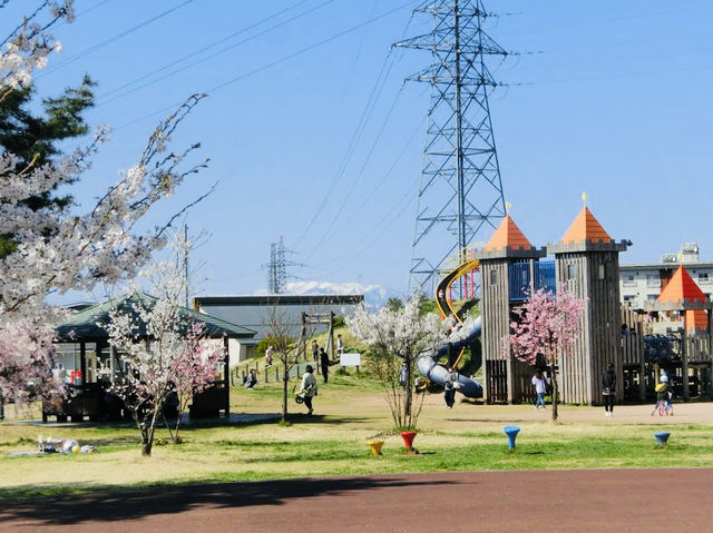 The Nishinarusawa Park