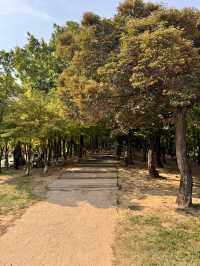 부산근교 김해 역사여행일정 어때? 🍃