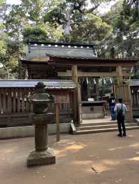 【神木與靈泉的庇佑】走進鹿島神宮—一場靜心與祝福的神域旅程
