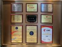 Dim Sum Perfection Preserved Across Generations