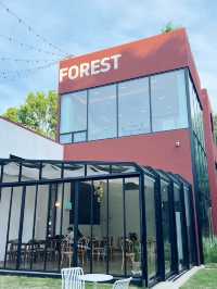Reforest Café – คาเฟ่บรรยากาศธรรมชาติในแทจอน