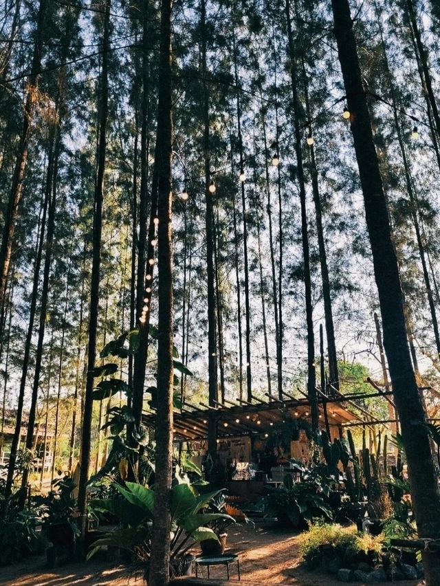 ใครสายนั่งชิล ห้ามพลาดคาเฟ่นี้เลย!!