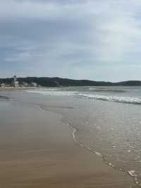 🏖️ 가족과 함께 즐거운 추억을, 천리포해수욕장 