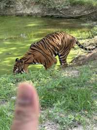 北碧府野生動物園