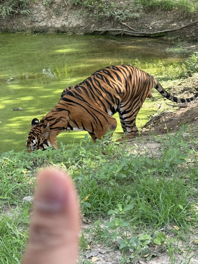 北碧府野生動物園