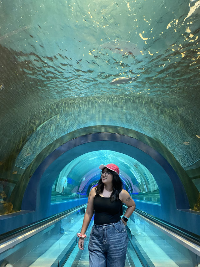 อะควาเรี่ยมบางแสน🐬🐠🪼✨