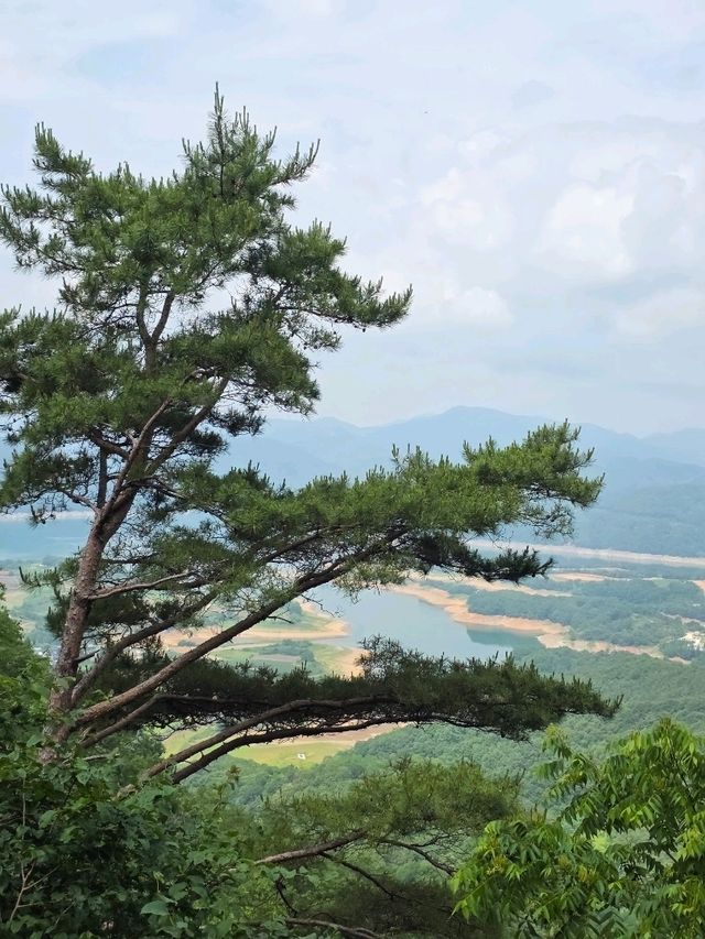 이색 데이트 코스로 찜! 제천 청풍호 모노레일