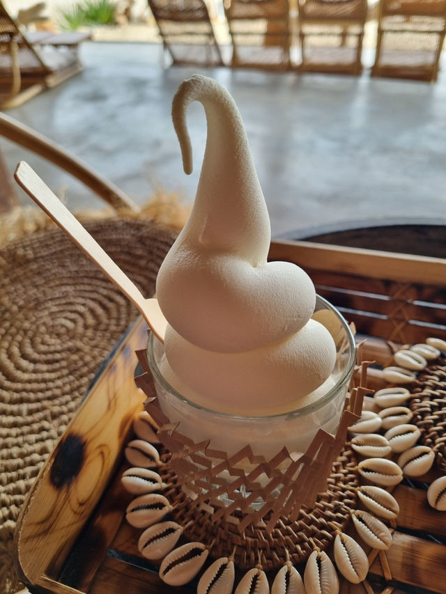 강원도🏝️고성 오션뷰 카페 🏝️노메드