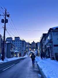 เที่ยวโอซาก้ากันเถอะ🇯🇵❄️