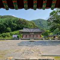 Time Travel (Kinda) in Buyeo