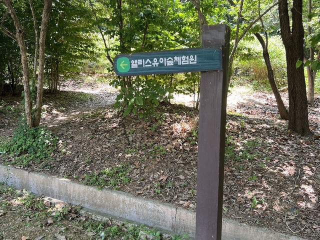 앨리스 유아숲 체험원