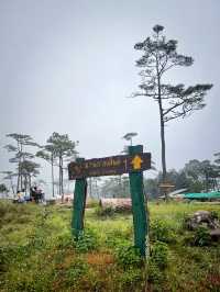 ภูสอยดาว หน้าฝน หมอกบางๆความงามที่ต้องไปเห็นด้วยตา
