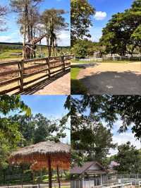 Singha Park, Chiangrai