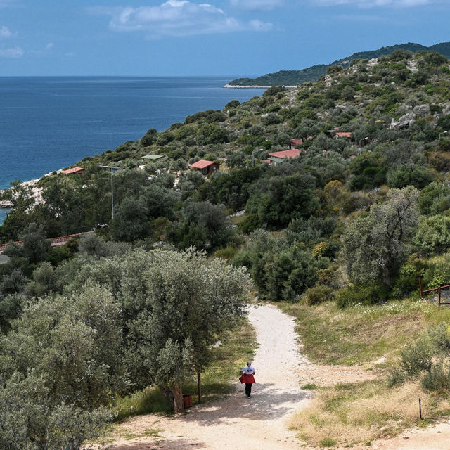 Kaş: The Jellyfish Sea Truly Exists! 🇹🇷🌊