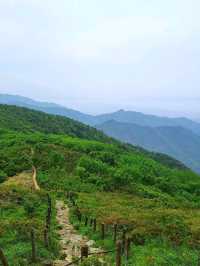 Deogyusan National Park, Hike, Freeze, Repeat (But Worth It)