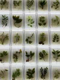 Guangdong Museum of Traditional Chinese Medicine – A Calm Dive into Ancient Wisdom