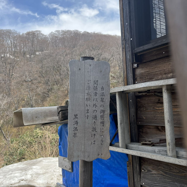 ♨️【秋田・黒湯温泉】秘湯の名湯で心も体も癒される自然の温泉旅