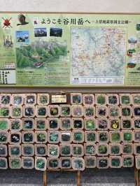  🏔️谷川岳インフォメーションセンターで自然と学びの時間を