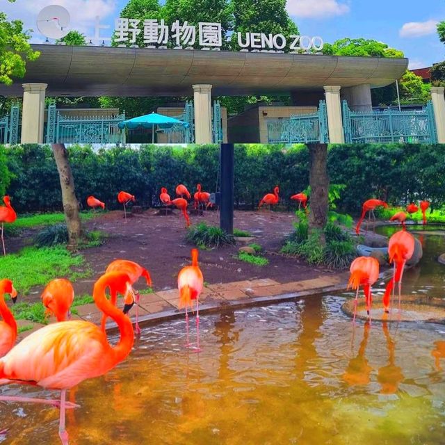東京