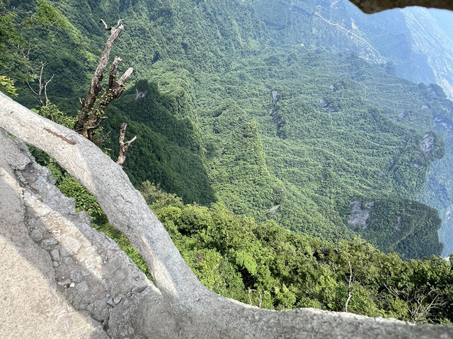 Zhangjiajie 4 Days Travel Guide 