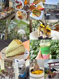 Skudai Café Hopping with Cheesecake, Capybaras & Fairytale Vibes