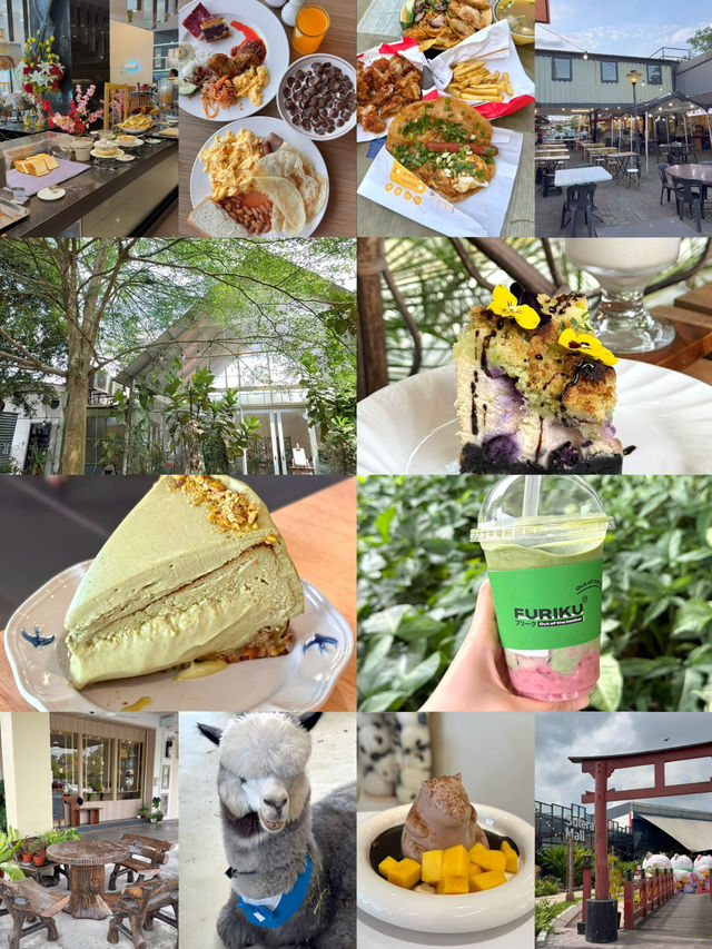 Skudai Café Hopping with Cheesecake, Capybaras & Fairytale Vibes