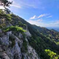 Big Views & Forest Feels in Hwangjangsan