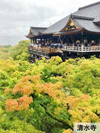 [京都]1日で大満喫✨京都定番観光