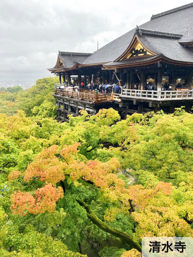 [京都]1日で大満喫✨京都定番観光