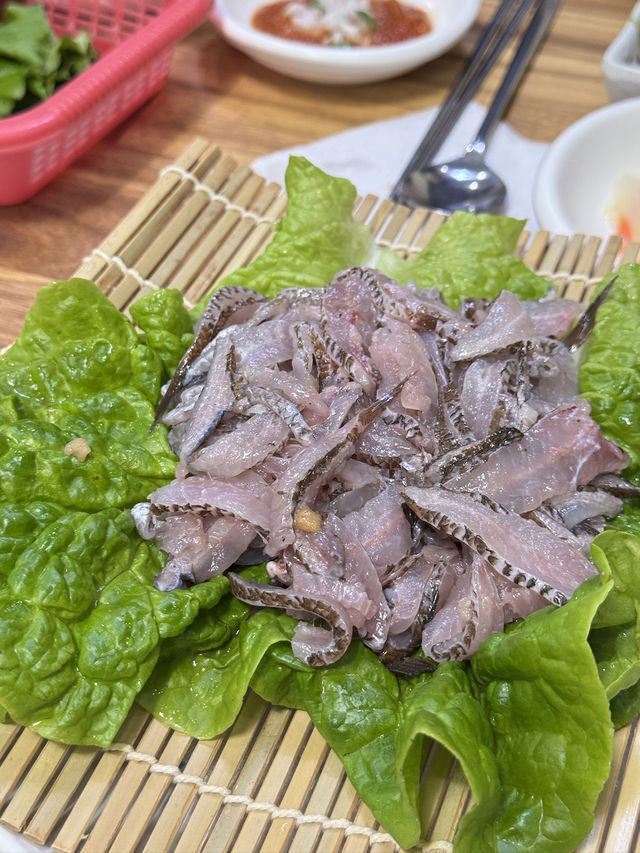 🌿 제주 서쪽 감성 코스 – 오설록부터 갈치조림, 회 완벽했던 하루