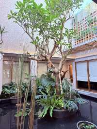 Aesthetic Spa in the middle of Bandung!
