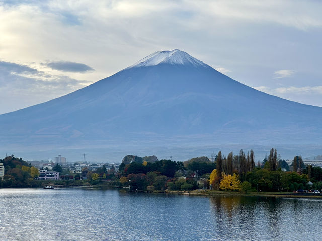 富士山。天空鳥居。楓葉