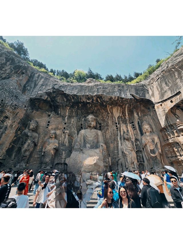 Temples, Blossoms & Carved Stone: Ancient Beauty in Luoyang