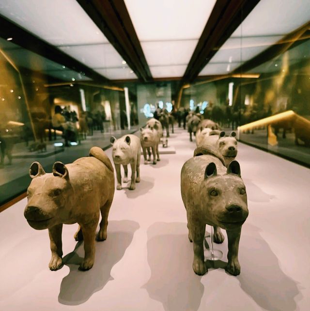 香港歷史博物館2025年7月兵馬俑展覽遊覽參觀攻略，適合親子遊