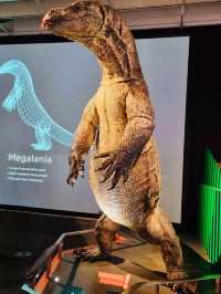 「クイーンズランド博物館クリルパ」—科学と歴史を体感できる学びの空間