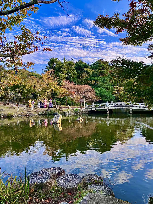 โอซาก้า🇯🇵