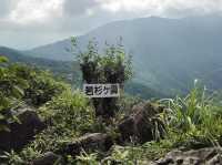 【霊気漂う山旅🌿】若杉山で心と体を浄化する登山体験