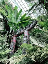 Step into Jurassic Wonder at Cloud Forest SG – A Must-Visit Experience!