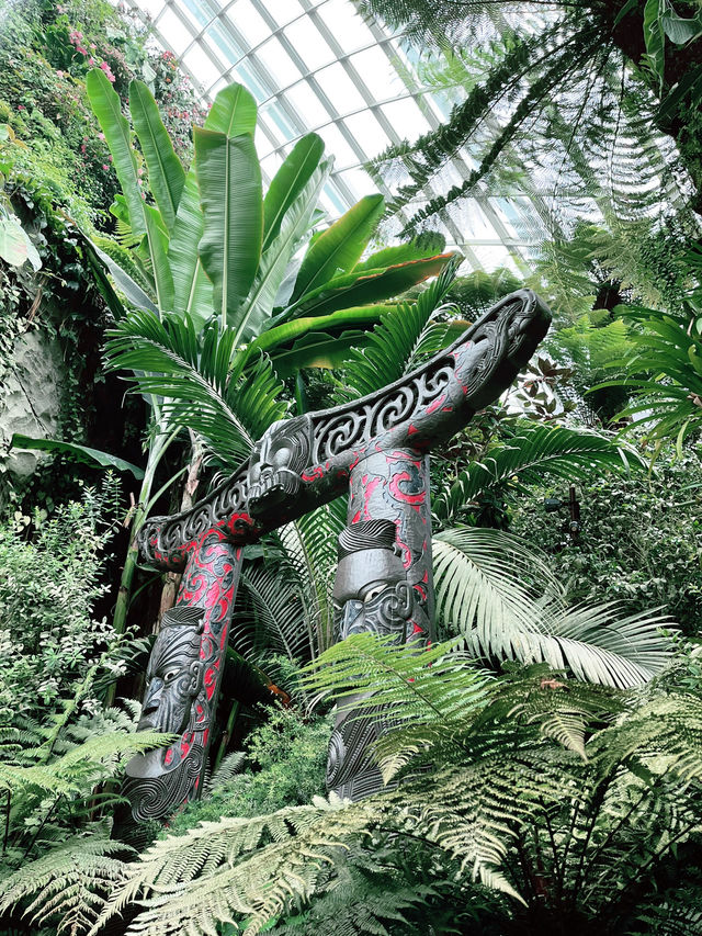 Step into Jurassic Wonder at Cloud Forest SG – A Must-Visit Experience!