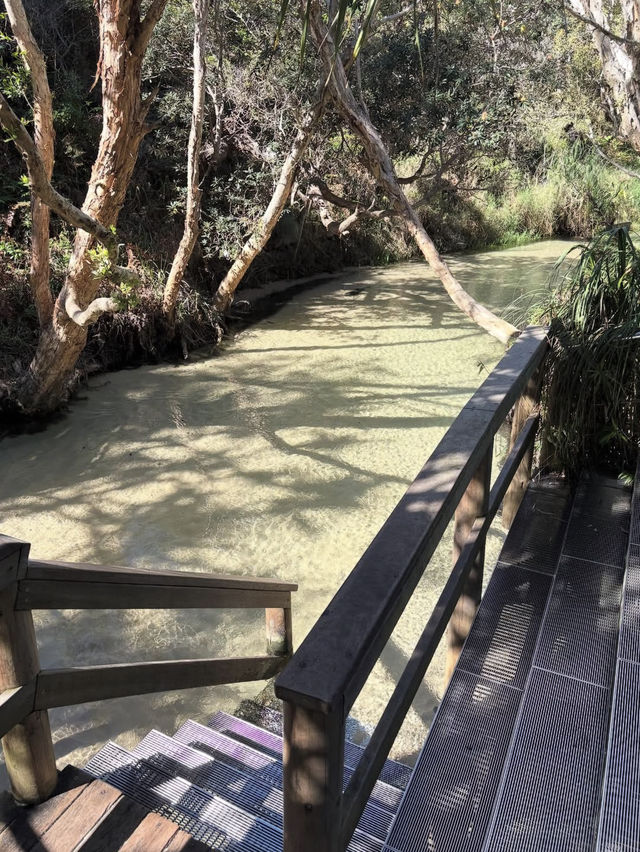 🚙【砂の島で冒険と癒し】フレーザー島（K'gari）で自然と遊ぶ旅