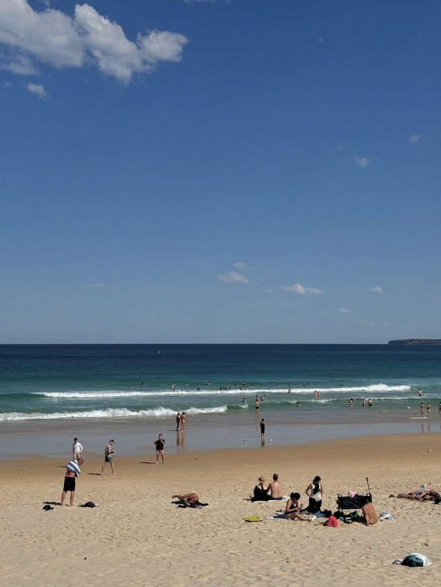 🏖️【海と街が出会う場所】ボンダイ・ビーチでアクティブ＆リラックス旅