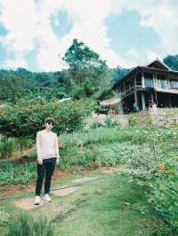 Mori Natural Farm โมริ เนเชอรัลฟาร์ม 