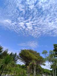 central Park Miri 
