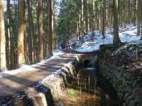 🐒 Jigokudani Yaen-Koen – A Snow Monkey Experience Worth the Hike